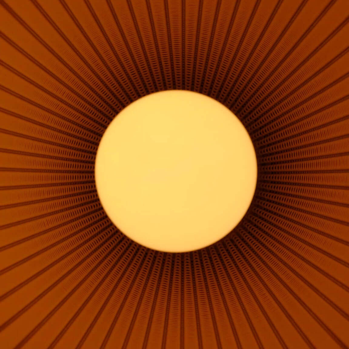 Flora Lamp