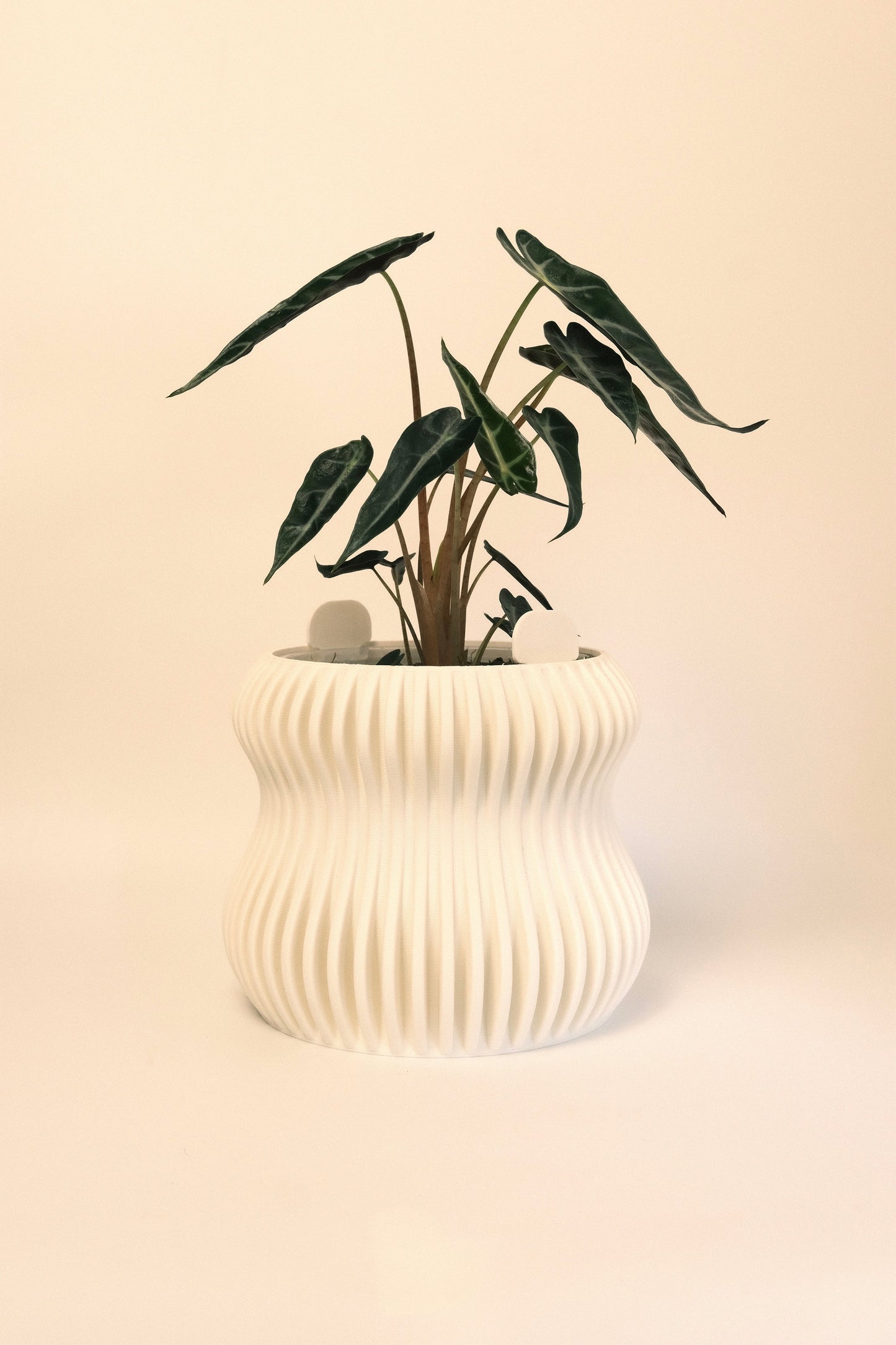 Selene Planter L