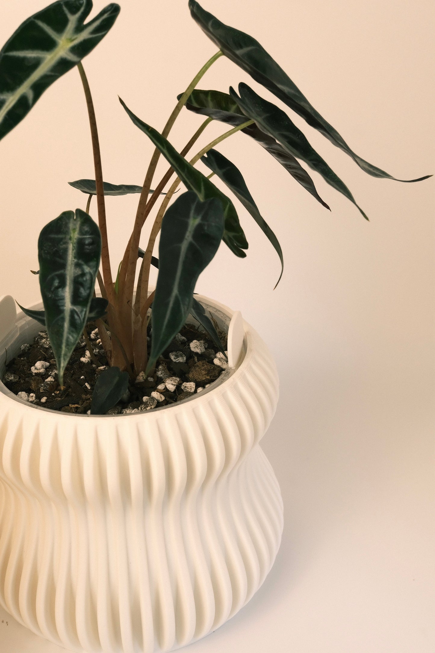 Selene Planter L