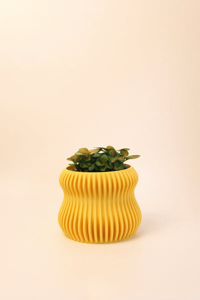 Selene Planter S