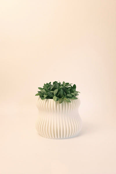 Selene Planter S