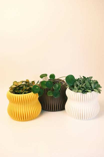Selene Planter S